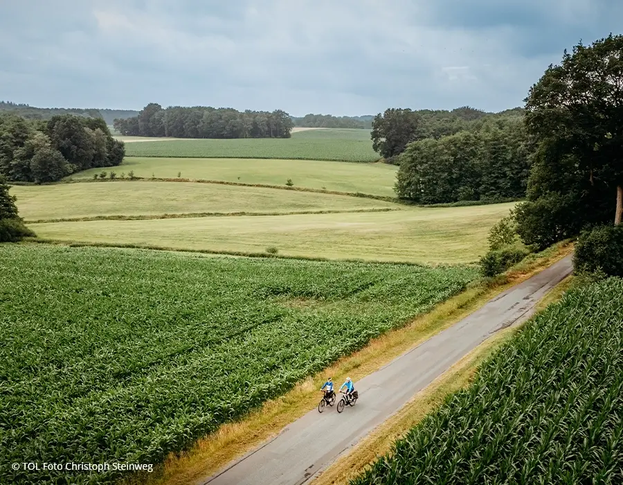 Paar mit dem Fahrrad zwischen grünen Maisfeldern aus der Vogelperspektive